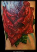 Tatuaje de una rosa con rocio