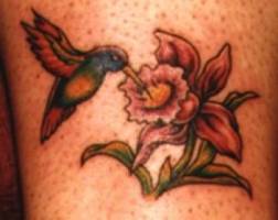 Tatuaje de un colibri comiendo de las flores