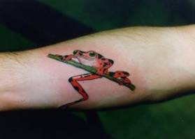Tatuaje de una rana en el antebrazo