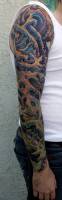 Tatuaje de todo el brazo en una funda de piel extraterrestre