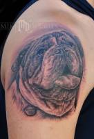 Tatuaje de la cabeza de un bulldog