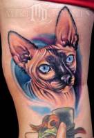 Tatuaje de la cara de un gato esfinge