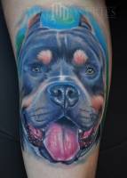 Tatuaje de un perro contento
