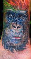 Tatuaje de una cara de mono