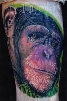 Tatuaje de una cabeza de mono