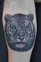 Tatuaje de un tigre en blanco y negro