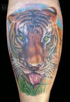Tatuaje de un tigre con la lengua fuera