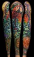Tatuaje de un loro y una rana en el brazo
