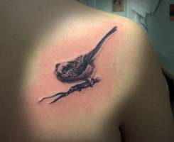 Tatuaje de un gorrión posado en una rama