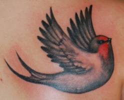 Tatuaje de una golondrina volando