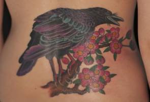 Tatuaje de un cuervo posado en una florida rama