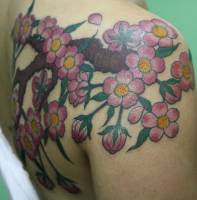 Tatuaje de una rama florida en espalda y hombro para una mujer