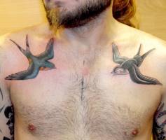 Tatuaje de dos golondrinas volando en el pecho