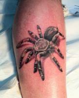 Tatuaje de una peligrosa tarantula