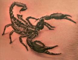 Tatuaje de un escorpión agresivo