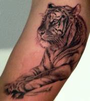 Tatuaje de un tigre sereno