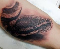 Tatuaje de una serpiente