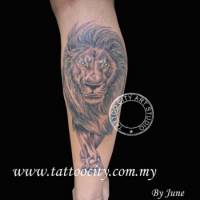 Tatuaje de un león caminando 