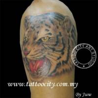 Tatuaje de tigre rugiendo