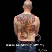 Tatuaje de un tigre desgarrando la espalda