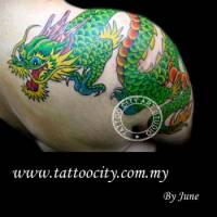 Tatuaje de un dragón que sube por el brazo la espalda