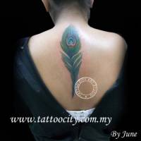 Tatuaje de una pluma de pavo real en la columna