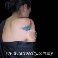 Tatuaje de una pluma en la espalda de una chica
