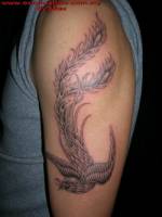 Tattoo de un ave fénix en el brazo