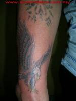 Tattoo de un águila en color