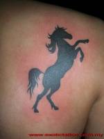 Tattoo de una sombra de caballo encabritado