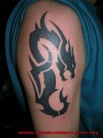 Tatuaje de un dragón en el brazo hecho de tribales