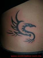 Tatuaje de una sombra de dragón volando