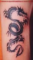 Tatuaje de una sombra de dragón enroscada