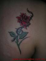 Tatuaje de una rosa y alambra de espino