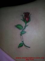 Tatuaje de una rosa con el tallo atravesando la piel