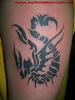 Tatuaje de un escorpión alado?
