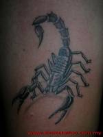 Tattoo de un escorpión