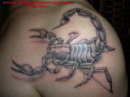 Tatuaje de un gran escorpión en el hombro