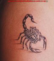 Tatuaje de un escorpión con un poco de sombra