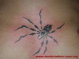 Tatuaje de una araña