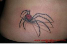 Tatuaje de una araña de largas patas