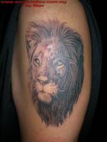 Tattoo de un león en el brazo