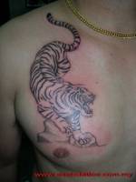 Tatuaje de un tigre en blanco y negro en el pecho