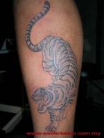 Tatuaje de un tigre bajando por al pierna