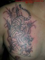 Tatuaje de un tigre andando entre rocas y hierba