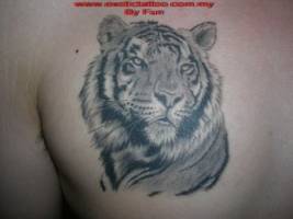 Tatuaje de una cabeza de tigre