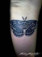 Tatuaje de una gran mariposa