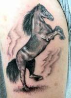 Tatuaje de un caballo encabritado