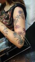 Tatuaje en el brazo de una chica. Flores enrolladas