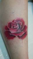 Tatuaje de una rosa a color